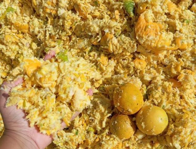Bagaço de Laranja 